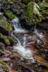 Rushing Water in Tillman's Gorge